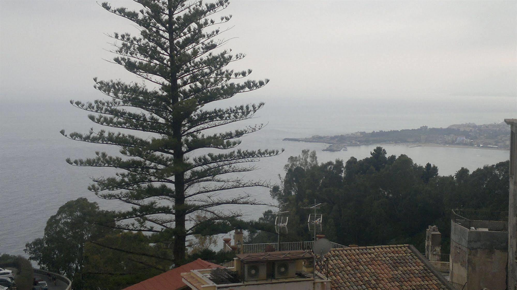 Floresta 3*